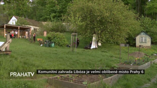 Komunitní zahrada Libóza je velmi oblíbené místo Prahy 6